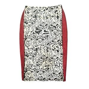 OOAK Unique Abstract Isabel de Pedro Mr. CAT A-line Skirt-Sz 4 Artsy